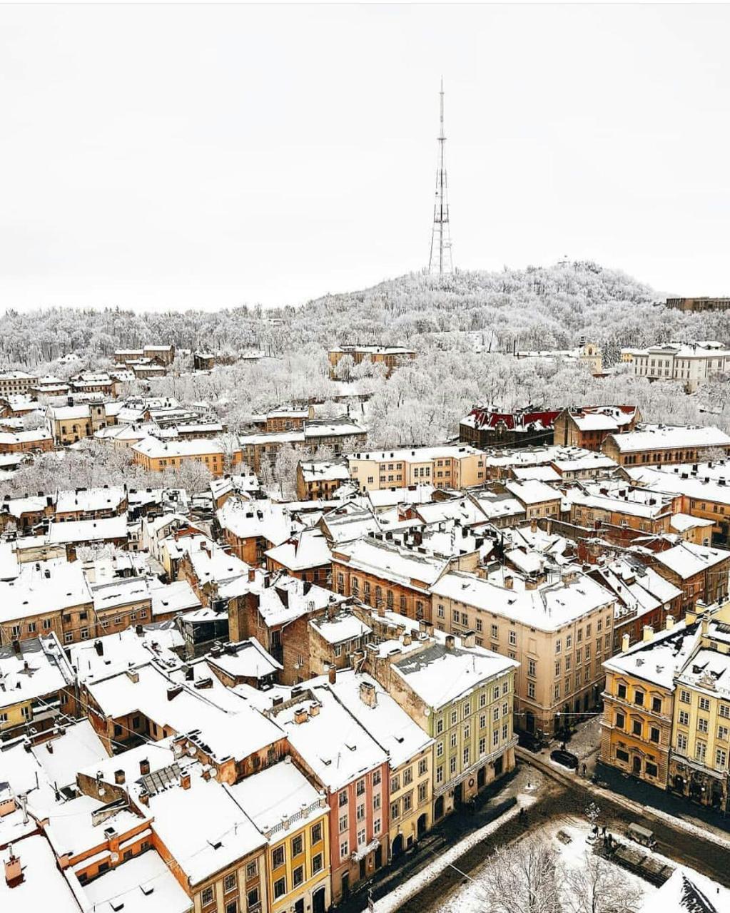 Green Apartment Lviv Luaran gambar