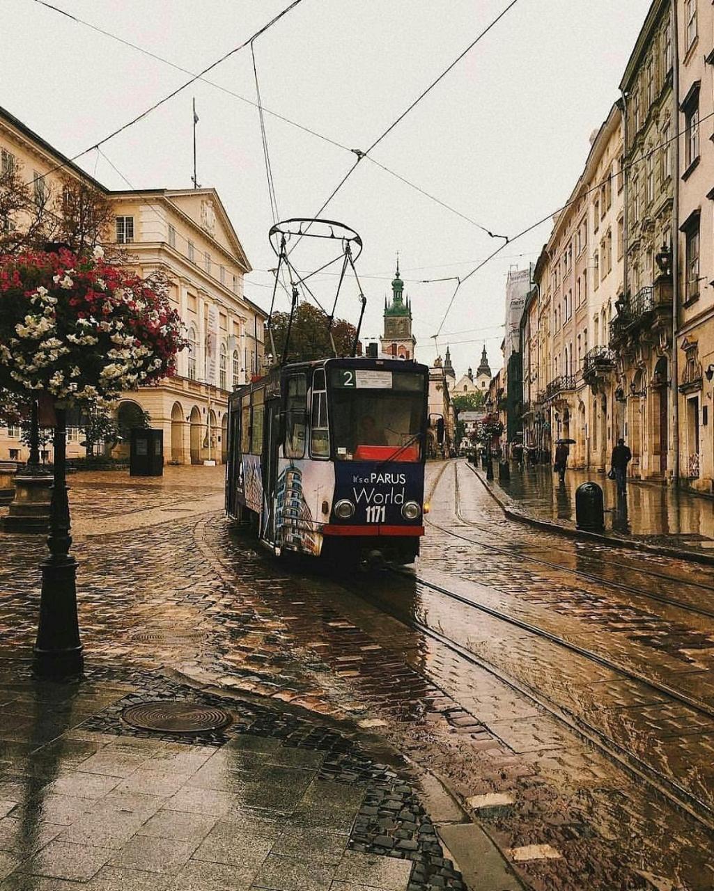 Green Apartment Lviv Luaran gambar