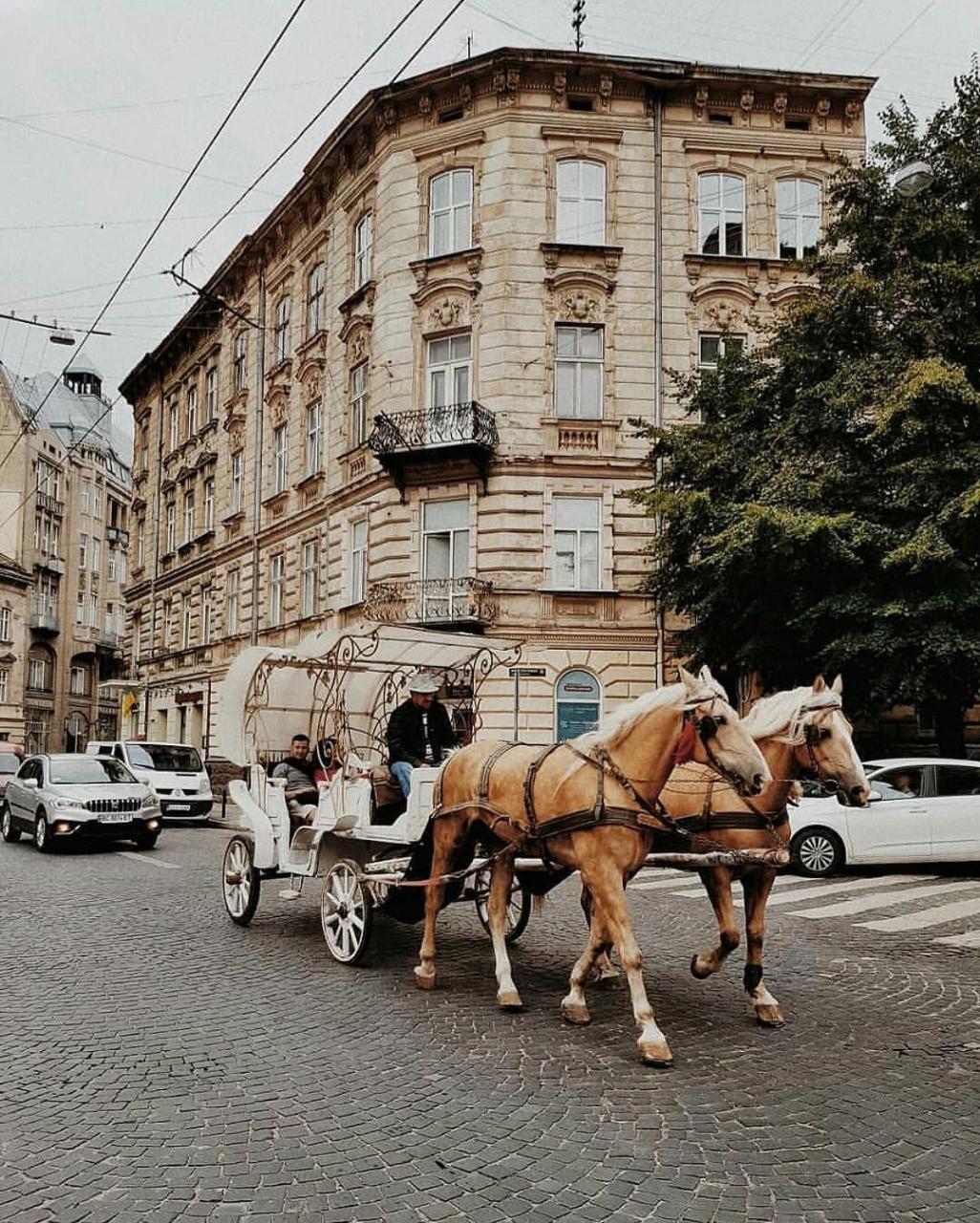Green Apartment Lviv Luaran gambar